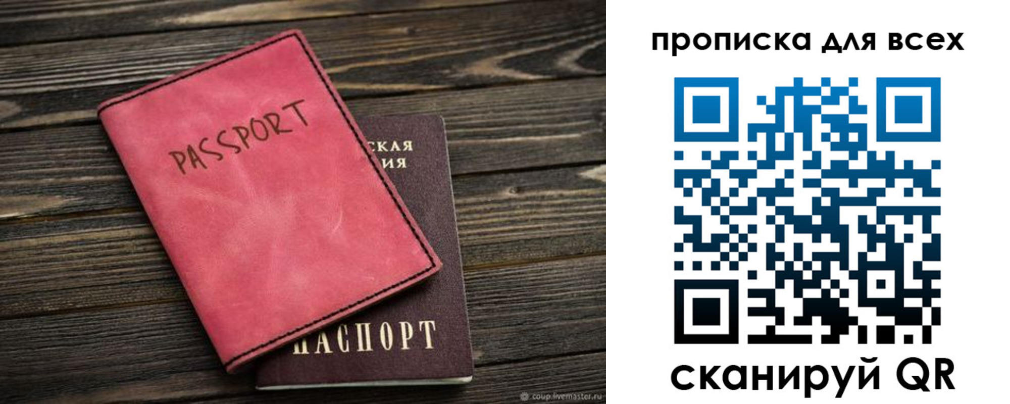 прописка гарантия в Новозыбкове
